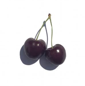 Two cherries with green stalks