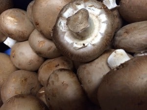 A selection of dark chestnut mushrooms