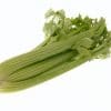 A head of Green Celery