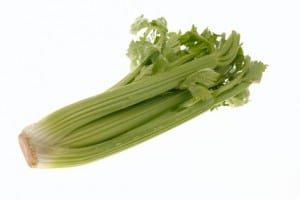 A head of Green Celery