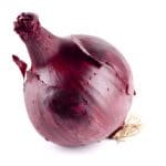 A single Red Onion