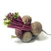 A bunch of fresh beetroot
