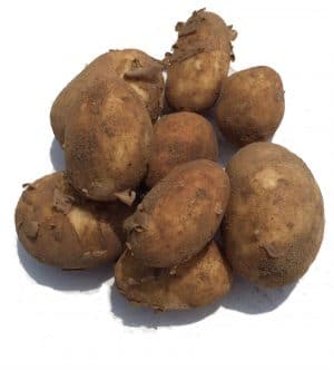 A selection of unwashed new potatoes