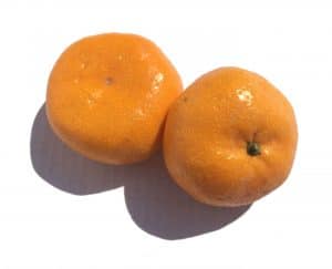 small round orange fruits