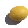 A single Yellow Lemon