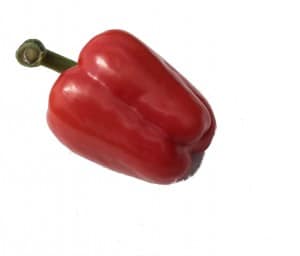 Red Pepper with Green stalk