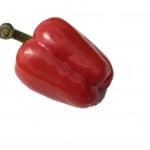 Red Pepper with Green stalk