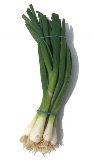 Bunch of long spring onions