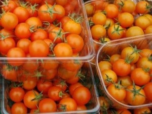 Small Orange Tomatoes