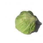 A round lettuce