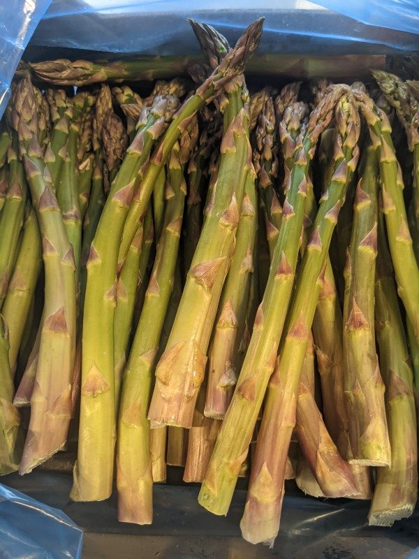 Asparagus (Portwood) 1kg Kitchen Grade - Norfolk Veg Box