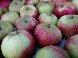 Photo of Worcester Apples