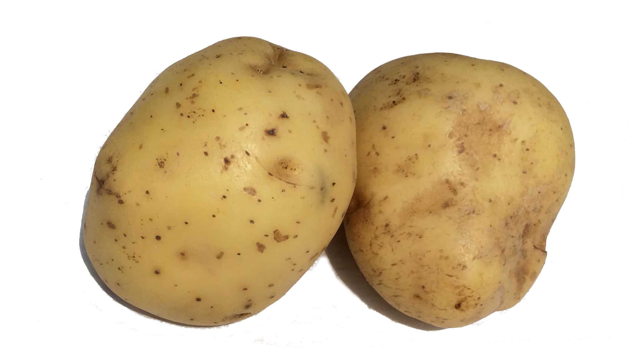 picture of two baking potatoes