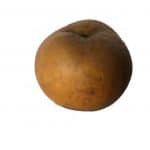 Browny green apple