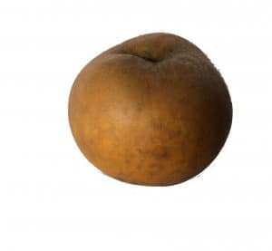 Browny green apple