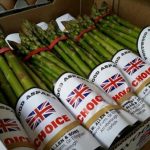 Asparagus - Bunch (Portwood)