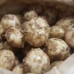 New Season Potatoes "Rocket"