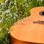 Music In The Meadow - 11th August